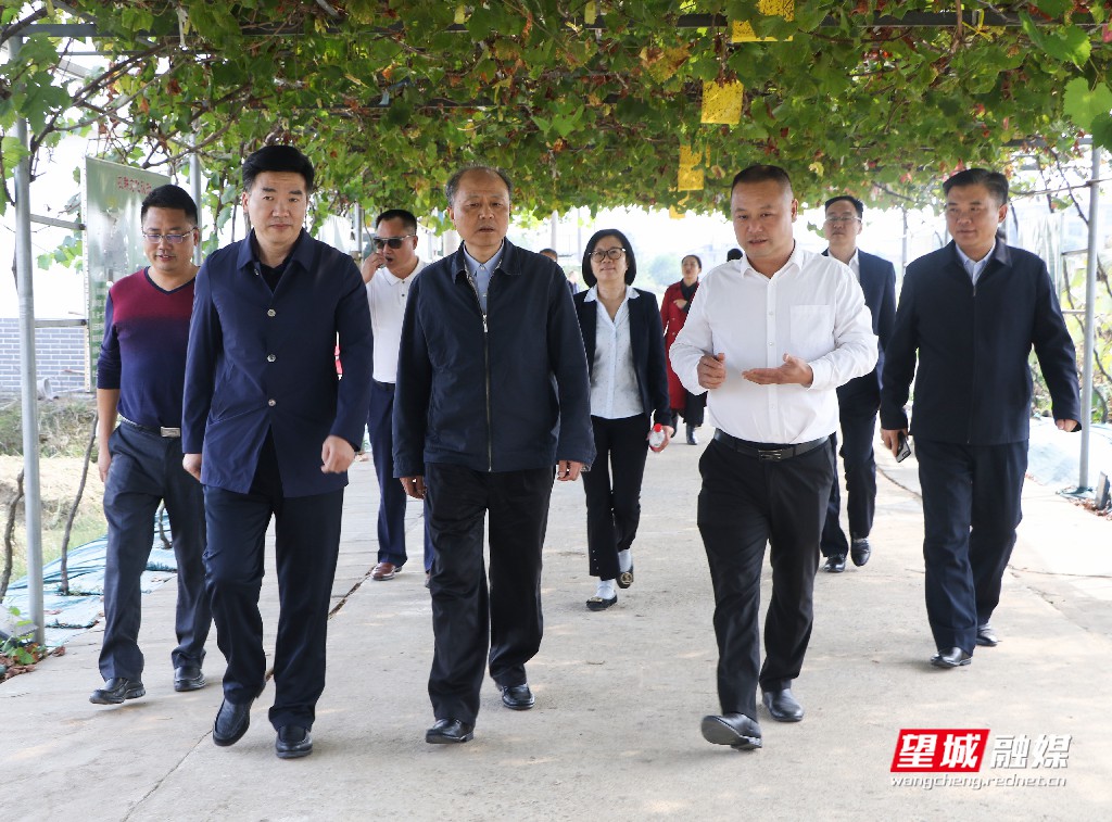 微信图片_20191019134941.jpg
