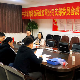 党建引领 助推企业稳步健康发展