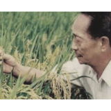袁隆平的担忧何尝不是一个严肃提醒