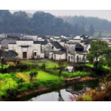 下工夫净化村务公开“窗口”