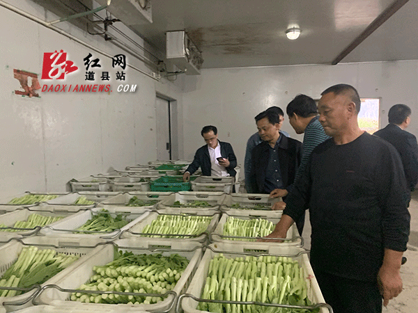 详细了解蔬菜配送过程.gif