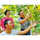 科技特派员播技术种子，为“三农”未来播种