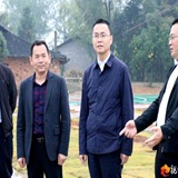 桃源县县长庞波调研乡镇工作