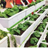 农博会“尖货”云集“大牌”竞技