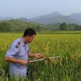【身边的榜样】最美植保人廖用信——22年坚守初心，为武冈农业保驾护航