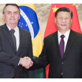 习近平举行仪式欢迎巴西总统博索纳罗访华并同其举行会谈