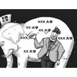 大学排名别让利益“绑架”