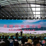 农博汇丨两天签约5000万 白茶成桑植脱贫“定心丸”
