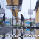 十分上海·买全球 ①| 来虹桥品汇的第一天：市民笑了，代购哭了