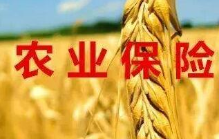 2022年农业保险保费收入 有望达840亿元