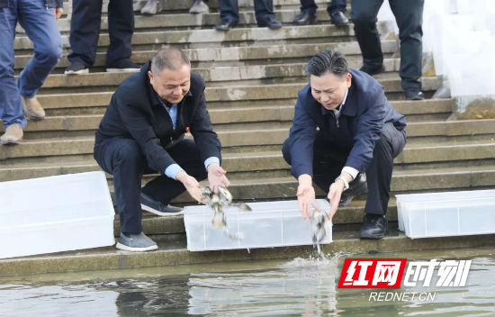 永定区开展张家界大鲵国家级自然保护区人工增殖放流活动