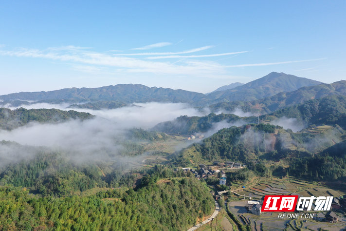 DJI_0048_wps图片.JPG