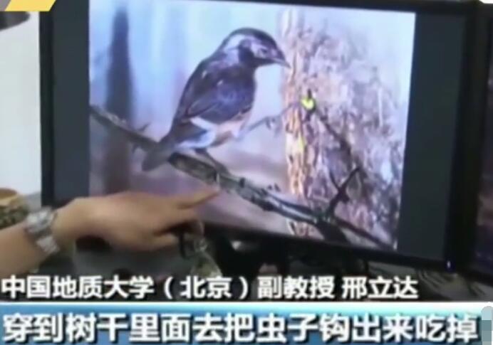QQ截图20191030151035.jpg