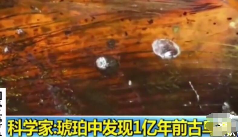 QQ截图20191030151022.jpg