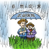财政部:推动农业保险“扩面、增品、提标”