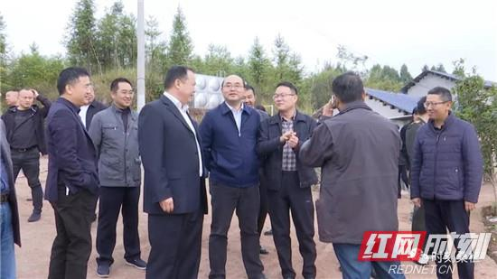尚生龙到桑植县调研指导工作