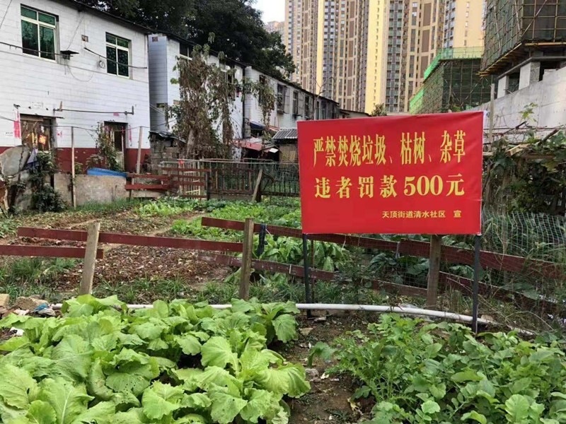 图片33.jpg 图片33.jpg