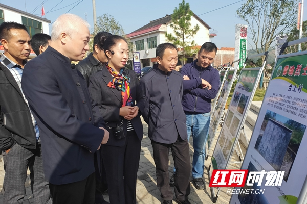 大祥区政协委员视察全区交通建设等重点项目