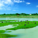 主题教育“讲台”在民生现场