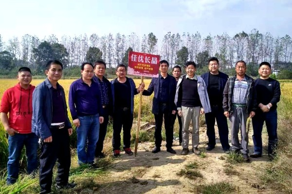 新邵陈家坊镇种粮大户到常德学习优质晚稻种植先进经验