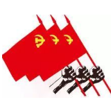 让党旗在基层阵地高高飘扬