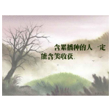 含累播种的人一定能含笑收获