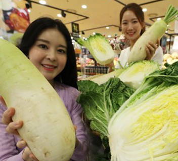 环球一周丨美国日本起大火 韩国大白菜贵如金