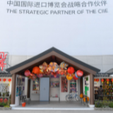 她把色彩当作绣线，“绣”出美妙的画卷 | 我和进博会