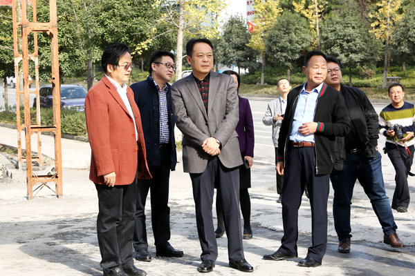 州人大常委会副主任刘小刚一行在湘西妇儿医院建设工地调研