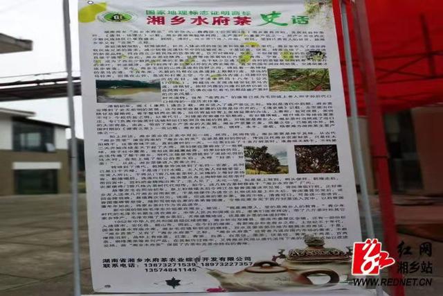“湘乡水府茶”获批国家地理标志商标