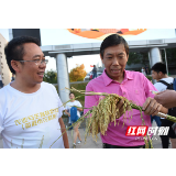 湖南人文科技学院：丰收节里师生共同唱响田园欢歌