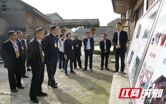 省、市人大代表武陵源小组开展专题调研