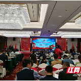 茶陵“传承红色基因、讲述初心故事”微党课决赛举行