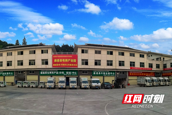通道县电商产业园_副本.jpg