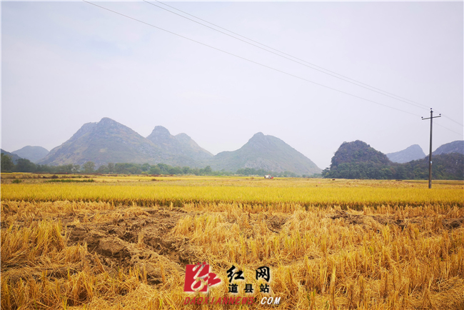 微信图片_20191106115831.jpg