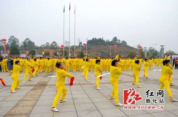 DSC_0545_副本.jpg DSC_0545_副本.jpg