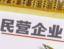 民营企业座谈会一周年 数百个配套政策落地