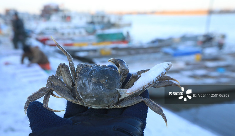 2019年11月7日，立冬前一日，哈尔滨最低气温已达-10℃。渔民从松花江里打上来的新鲜鱼蟹，出水不久，就冻硬。小鱼硬如冰棍，螃蟹冻成冰块，上面还粘着和它一同出水的小鱼。