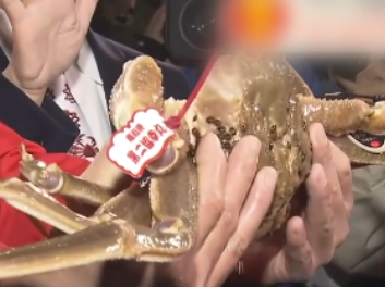 价值500万日元的螃蟹长啥样？