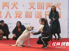 为督促市民为“汪星人”牵狗绳办狗证 民警特意举行了执法演习