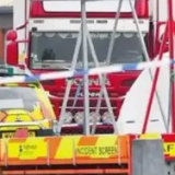 “死亡货车”终于真相，然而CNN的乱中阴谋还在继续...