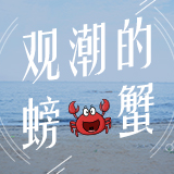 观潮的螃蟹丨“风景这边独好”的制度密码