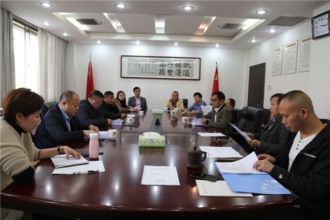 芦淞区早期人防工程安全等级评价方案专家评审会.JPG