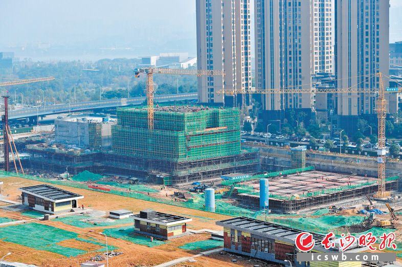 卓伯根中国总部项目部分建筑进入主体施工阶段。长沙晚报全媒体记者 王志伟 摄
