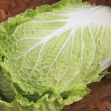 提醒丨大白菜上的“小黑点”到底是什么？能不能吃？