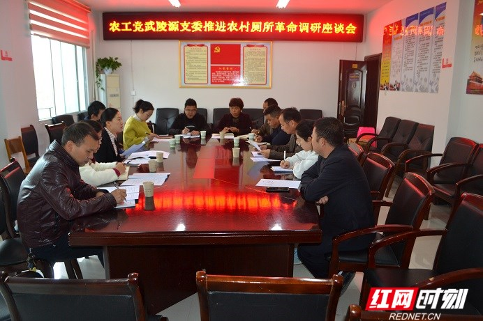 农工党武陵源支委专题调研索溪峪街道厕所革命