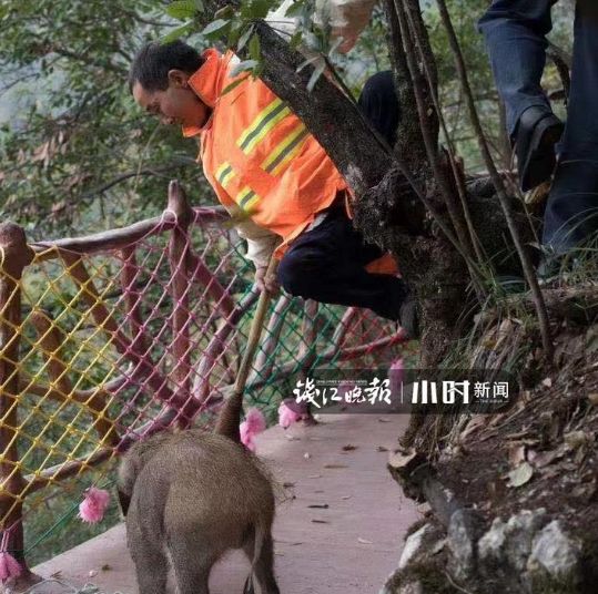 e587bf24-644f-4fa2-8bf2-af4e25119dec.png e587bf24-644f-4fa2-8bf2-af4e25119dec.png