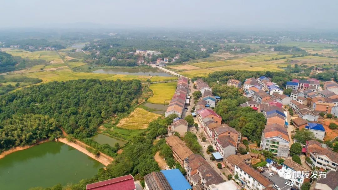 这里是泗汾! - 醴陵新闻网