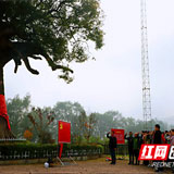 【“不忘初心、牢记使命”主题教育进行时】慈利县中医医院:红军树下守初心,红色教育记使命