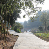 “爱乡回流”领修“连心路”